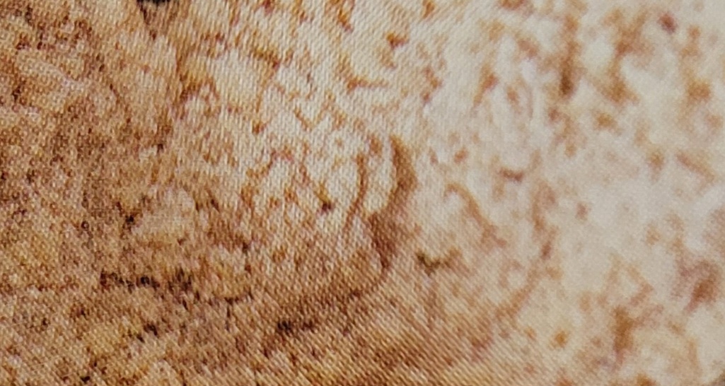 버터 쿠기의 가루류의 적정 보슬보슬 상태