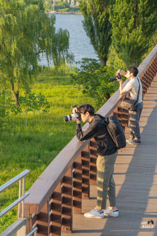 양화 한강공원 출사