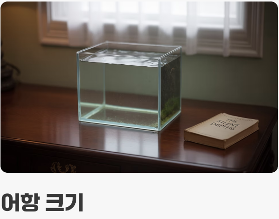 플래티를 위한 아늑한 집 꾸미기