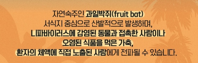 니파 바이러스 증상·치명률·여행 주의사항