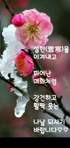 겸손