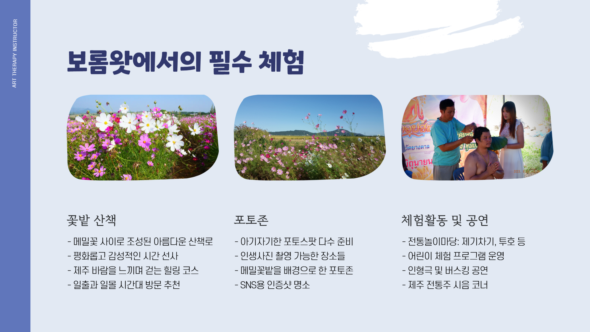 제주 보롬왓 메밀꽃축제