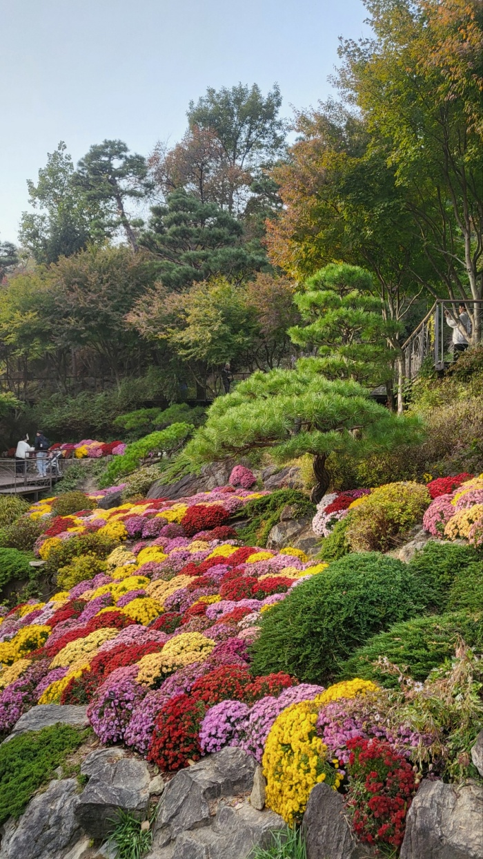 화담숲 예약 팁 & 피크 시즌 방문 요령 총정리