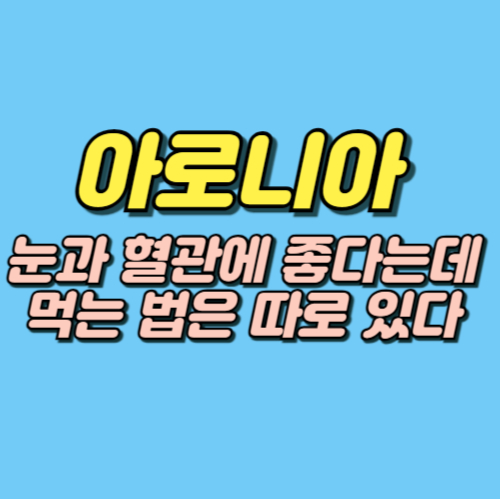 아로니아 효능 부작용