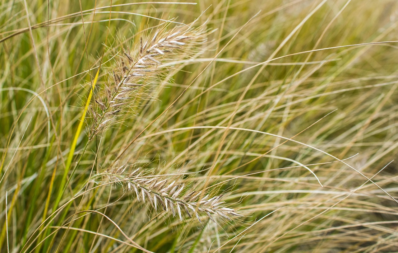 TD Bank 2024 Earnings Explained