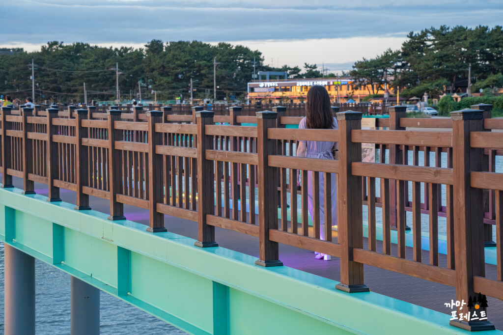 궁평항 낙조길 산책로