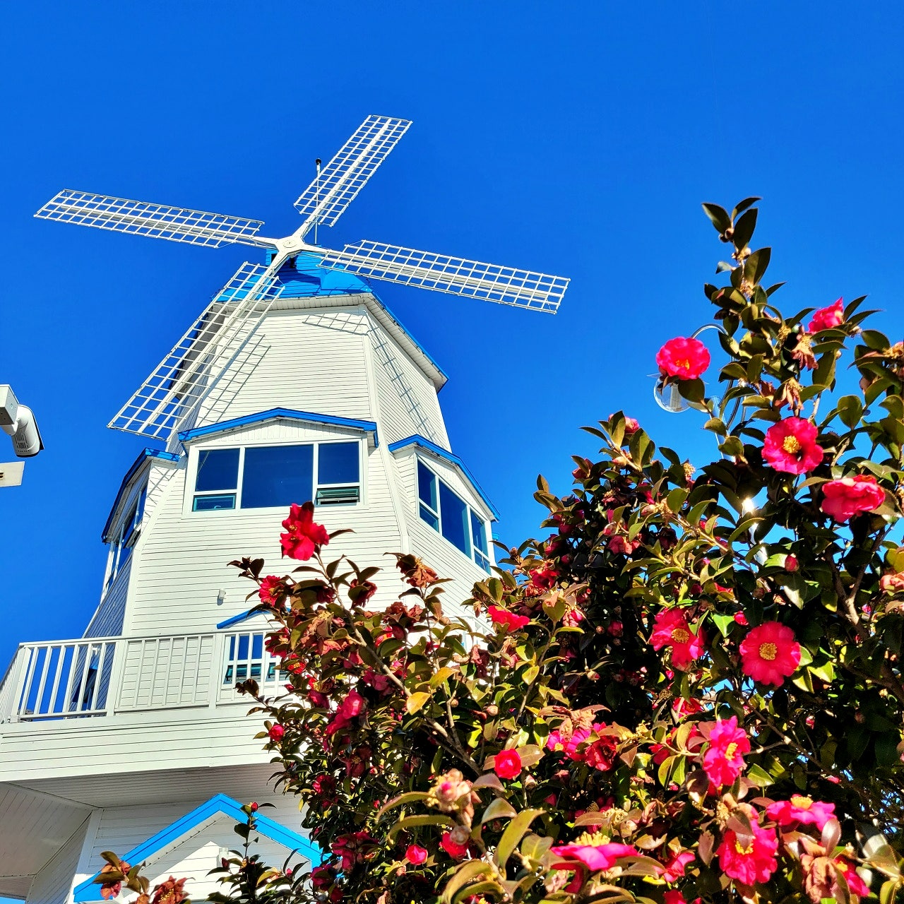 사천 청널공원 풍차전망대