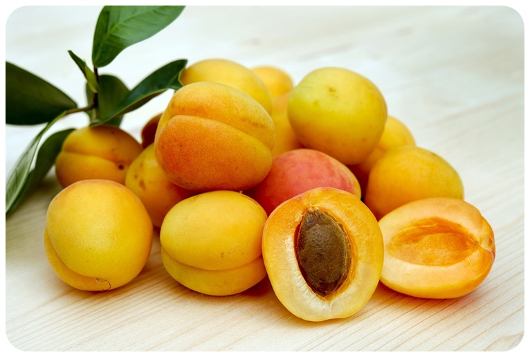 살구의 효능