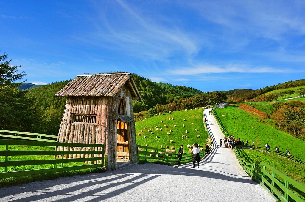 ๋๊ด๋ น ์๋ผ๋ชฉ์ฅ