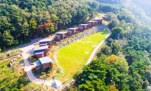 자연휴양림 BEST 5 2023년 신축