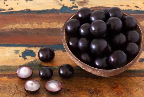 슈퍼푸드 자보치카바 효능 및 먹는법, 분말 활용법, 하루섭취량 총정리