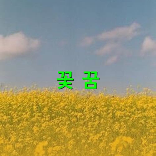 푸르른-하늘에-새털구름이-지나가고-노란-유채곷이-흐드러지게-피어있는-모습