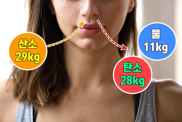 체지방 다이어트 살빠지는 운동 유산소 운동 호흡법, 건강 팁줌 매일꿀정보