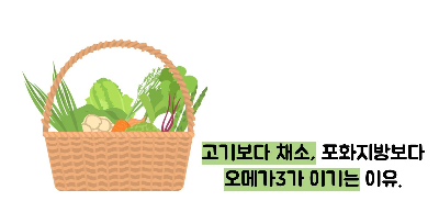 저속노화 식단