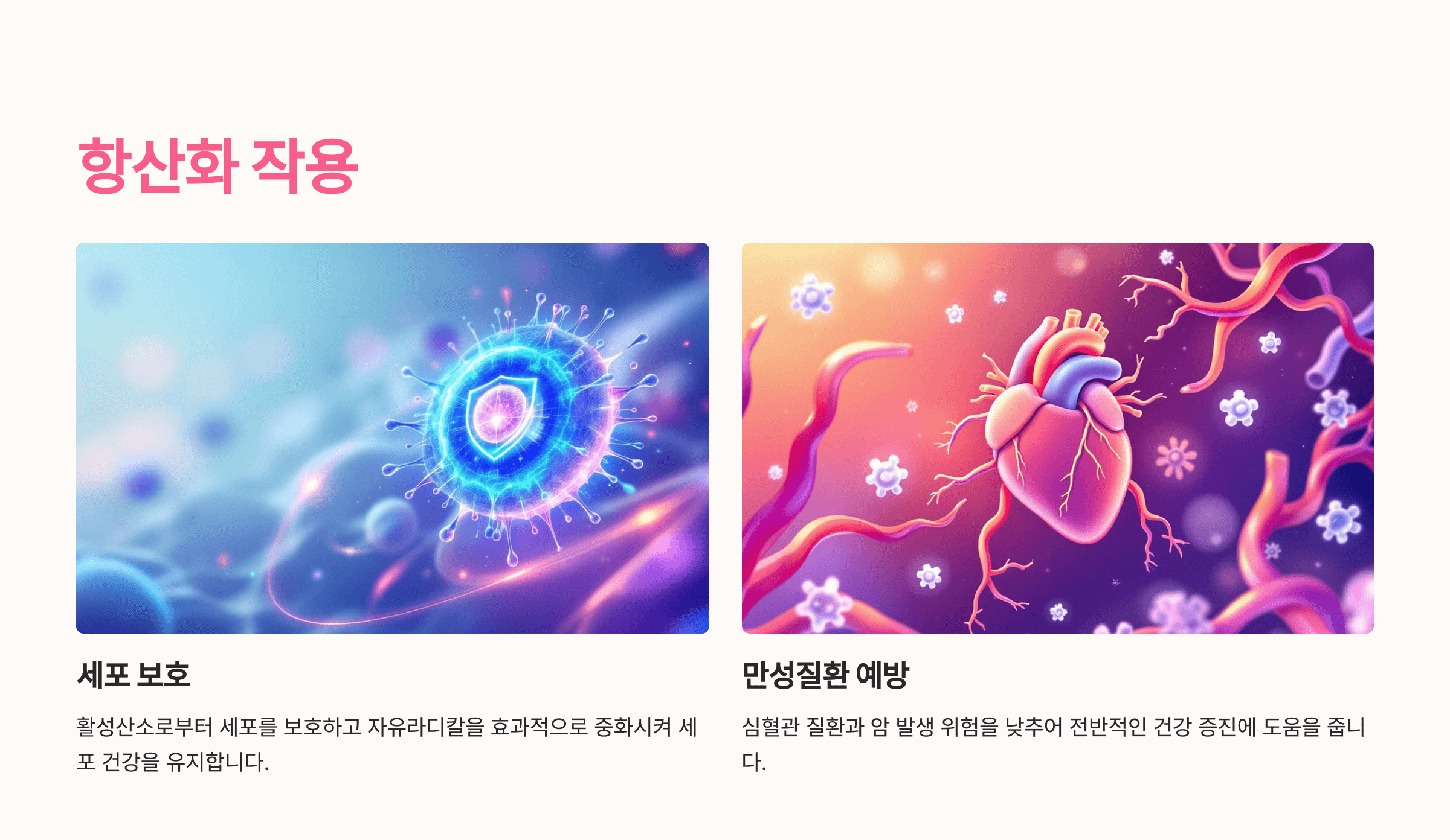 베타카로틴과 관련된 사진입니다.