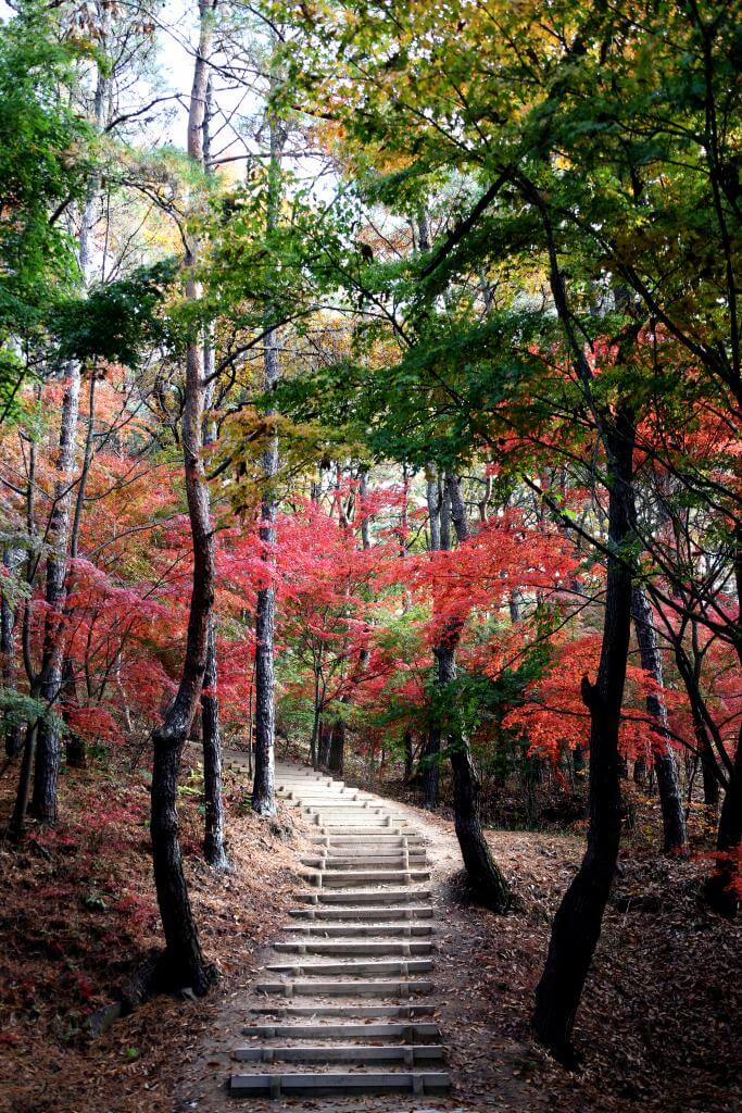 낙화암 - 삼천궁녀 전설의 현장 가슴 아픈 역사가 깃든 절벽