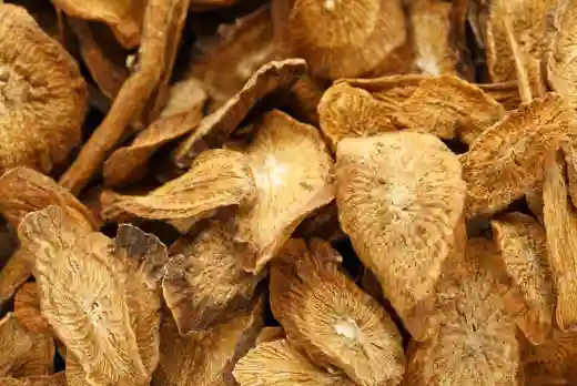 우엉차 효능과 영양성분, 먹는 방법 및 부작용