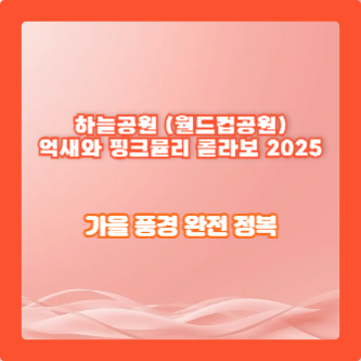 하늘공원 (월드컵공원) – 억새와 핑크뮬리 콜라보 2025|가을 풍경 완전 정복