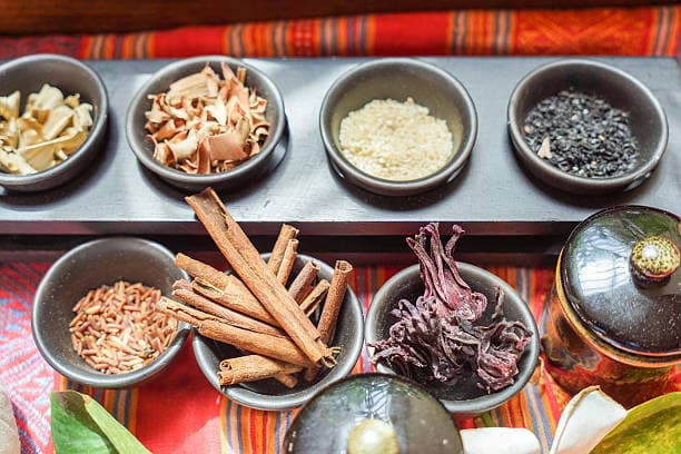 한국 전통 약초의 역사: 천 년의 지혜를 현대에 적용하다