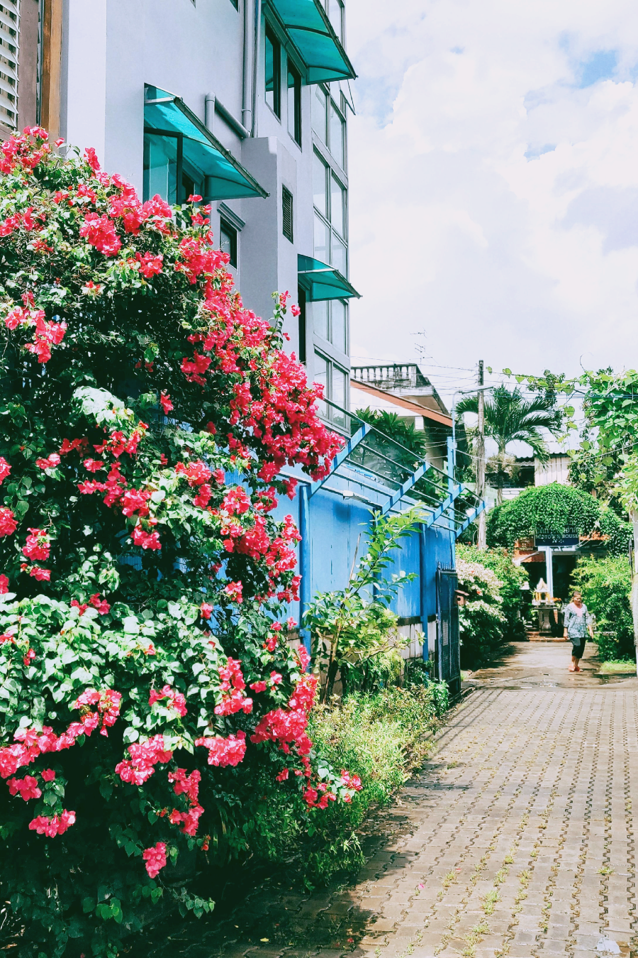 태국 치앙마이 한달살기 예산
