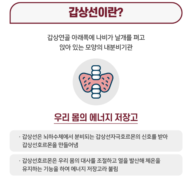 갑상선에 좋은 음식 12가지 총정리 섬네일
