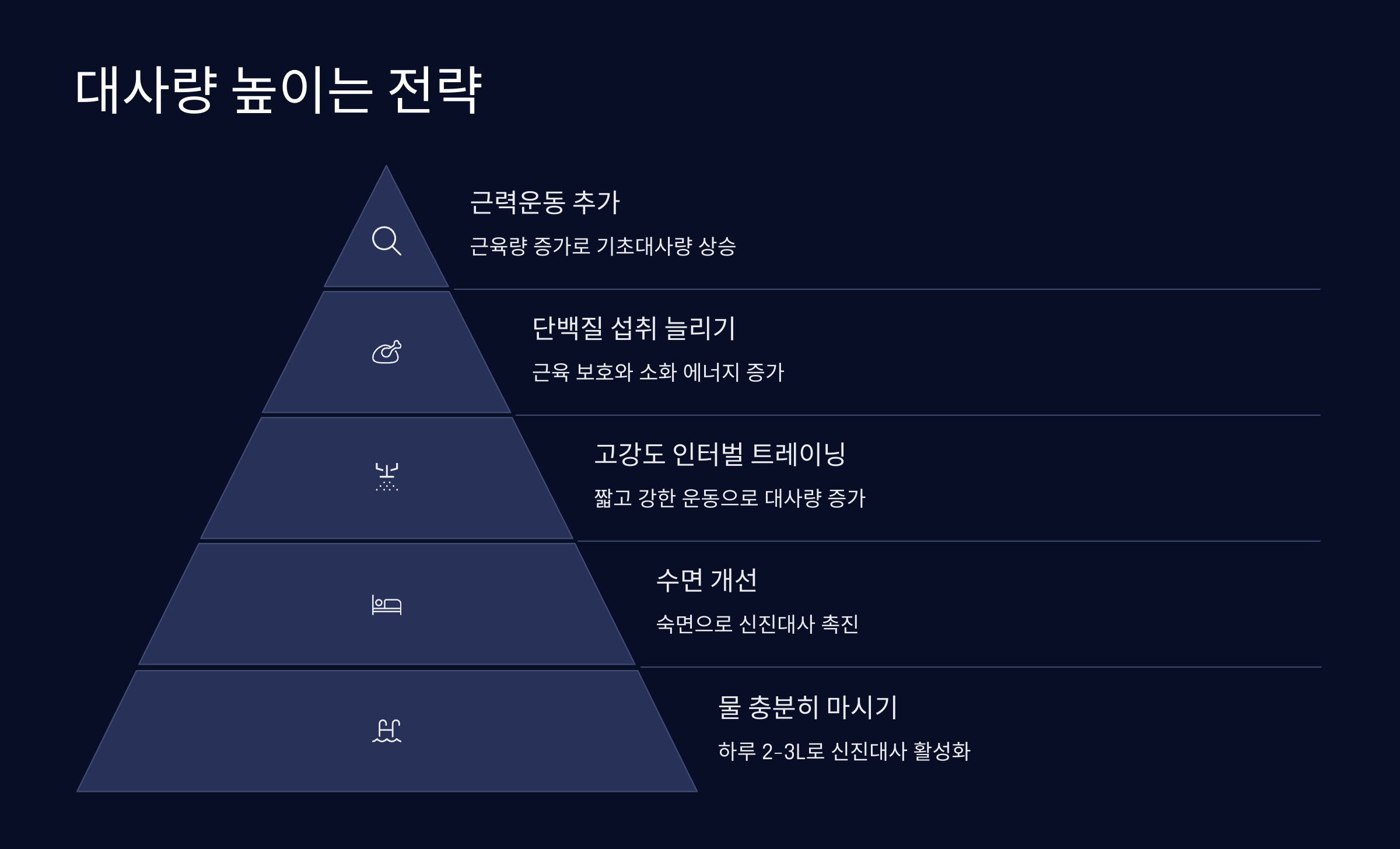 대사량 다시 끌어올리기