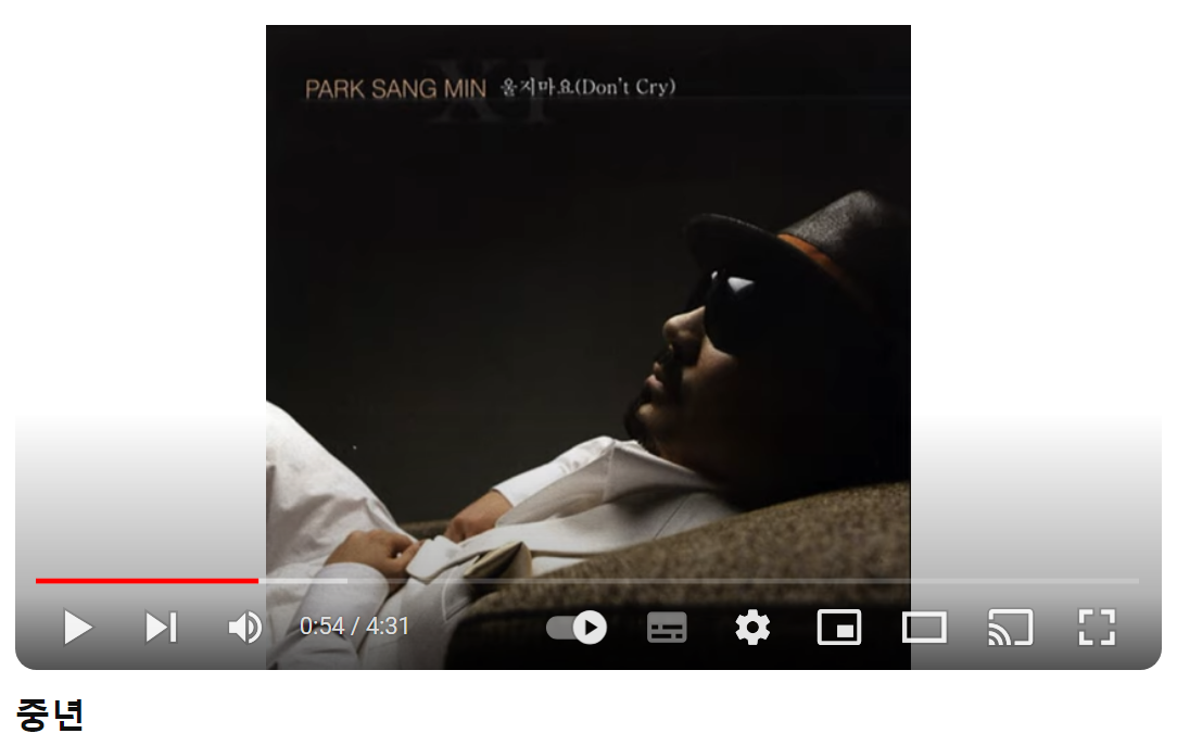 박상민-중년