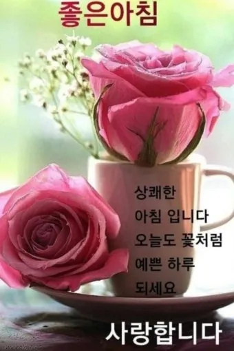 아침 인사 문자 날씨 변화에 맞춘 안부 문장 하루를 여는 표현_6