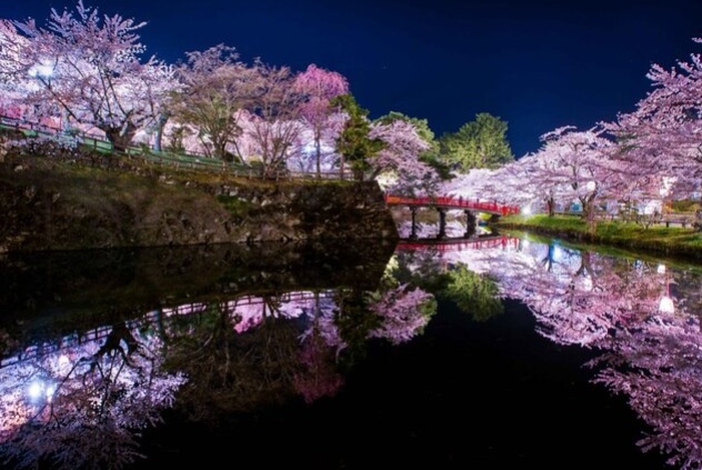 아오모리 벚꽃명소