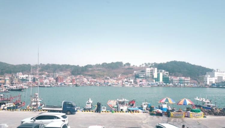 생생정보 생생현장 안동집 기장 대변항 맛집 멸치쌈밥맛집 2025기장멸치축제