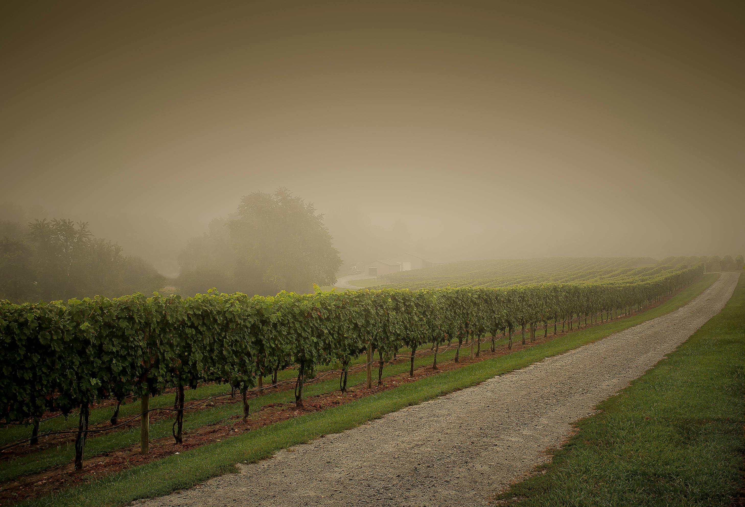 2025년 8월 13일 띠별 운세&amp;#44; 당신의 오늘은 어떨까요? (원숭이띠&amp;#44; 닭띠&amp;#44; 개띠&amp;#44; 돼지띠)