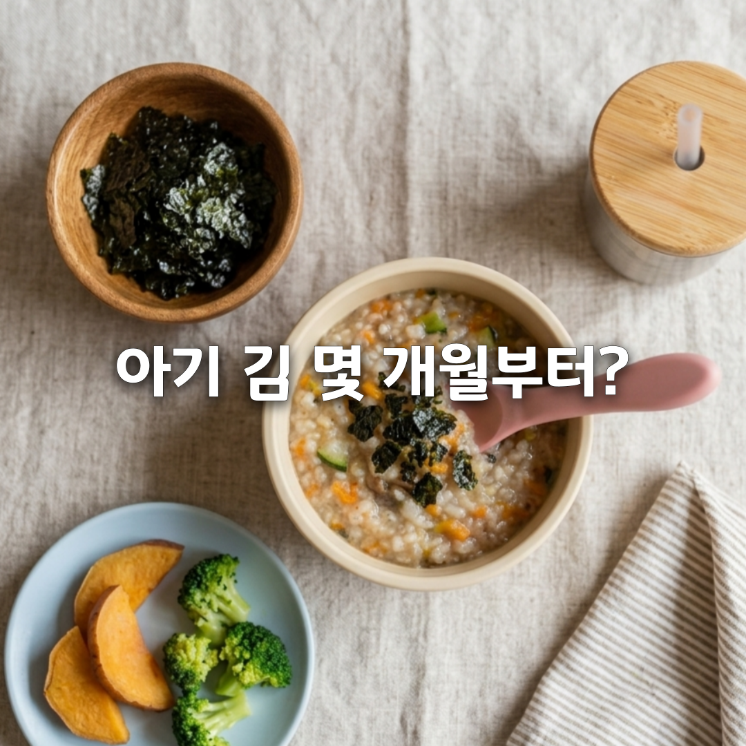 아기 김 언제부터 먹여도 될까 무염김 시기부터 조미김까지 총정리