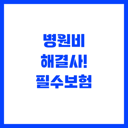해외 병원비 부담 줄이는 여행자보험 ..