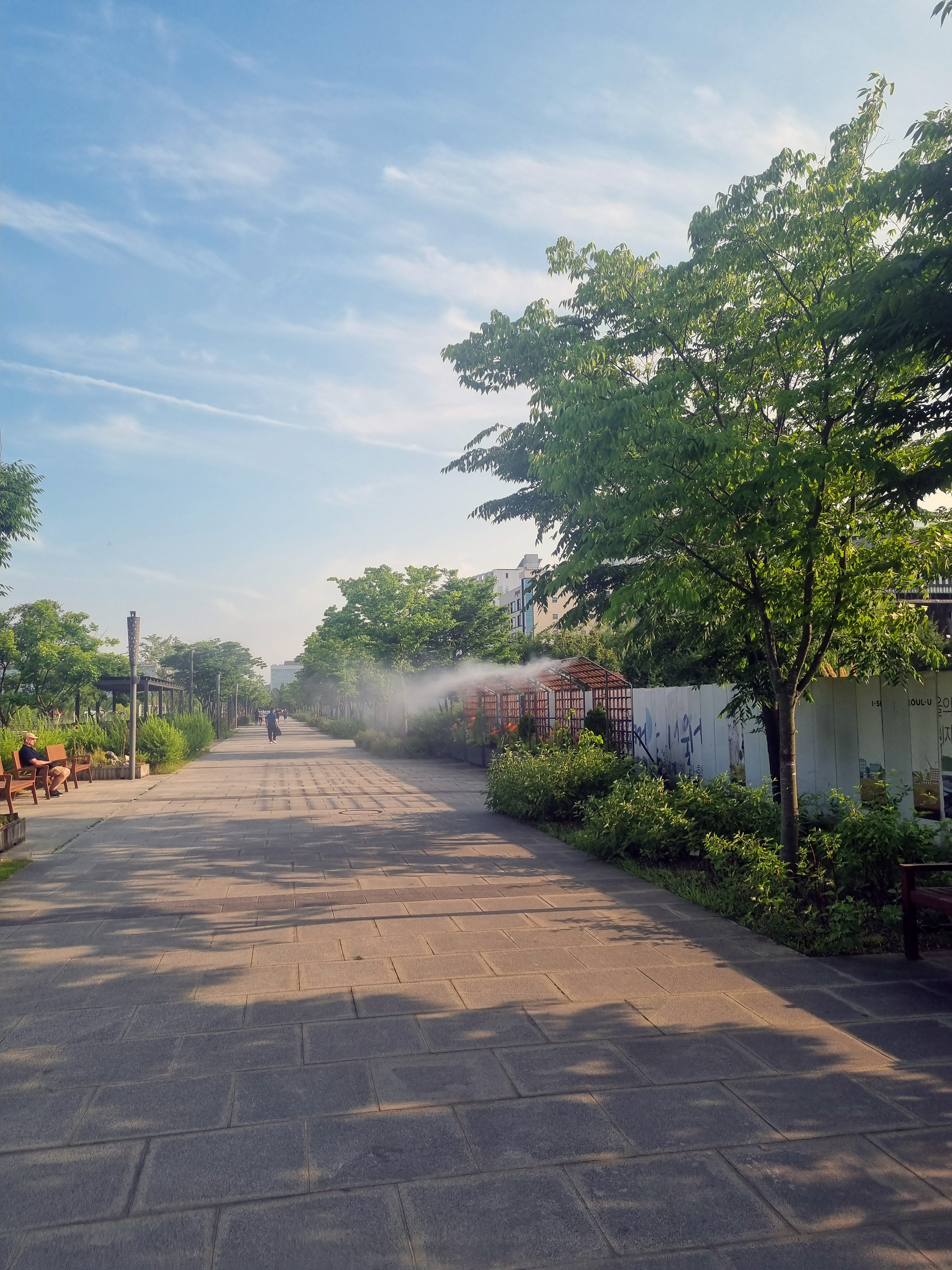 일자 산책로 사진