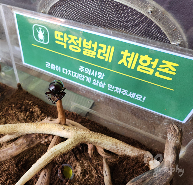 아산시-생태곤충원