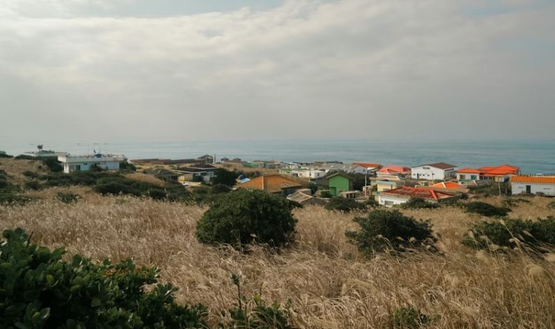 농어촌 기본소득 시범사업 (민생회복지원금, 지역소멸)