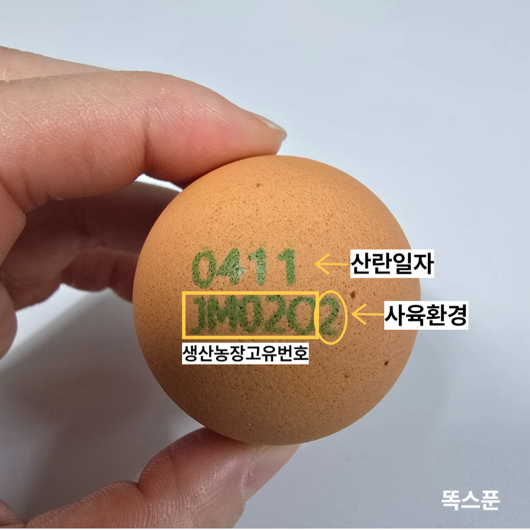 계란에 인쇄된 번호의 의미 계란이미지