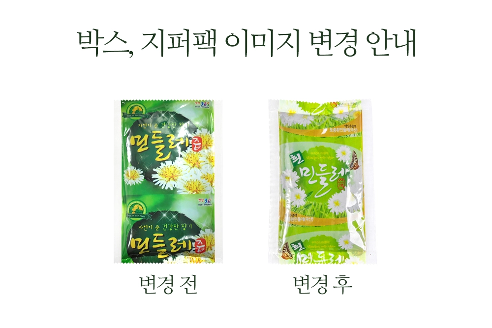 흰민들레즙