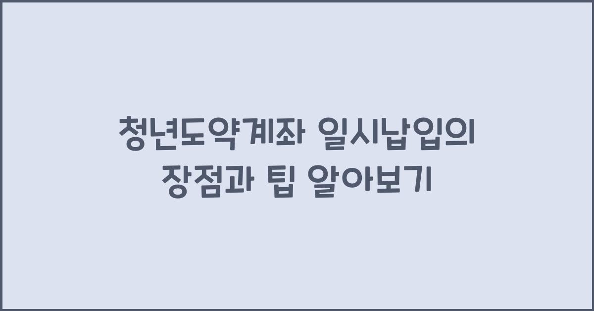 청년도약계좌 일시납입