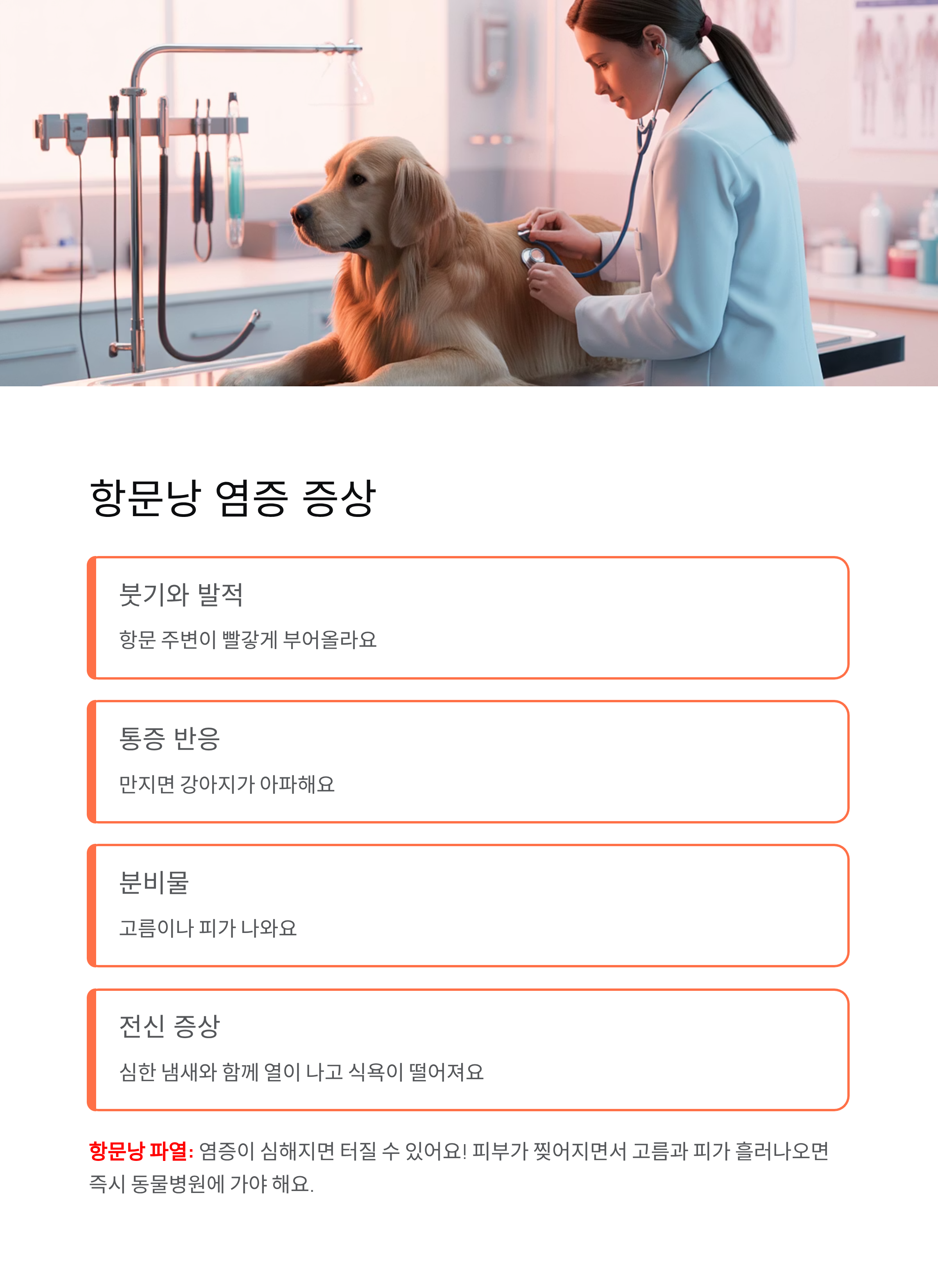 강아지 항문낭 ❘ 짜기 주기 냄새 염증 증상 집에서 짜는법 완벽 가이드