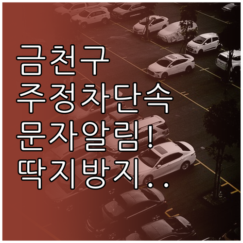 서울 금천구 주정차 단속 문자 알림 ..