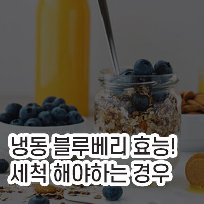냉동블루베리_효능과_세척해야하는경우_포스팅썸네일