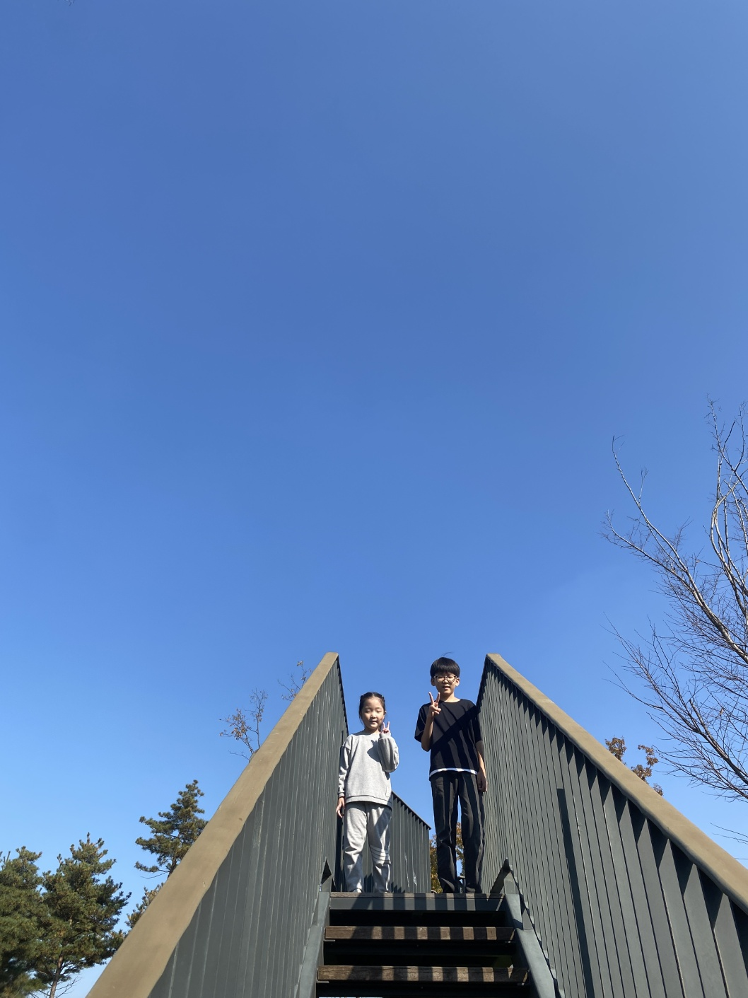 세종 아이와 가볼 만 한 곳 (세종수목원)