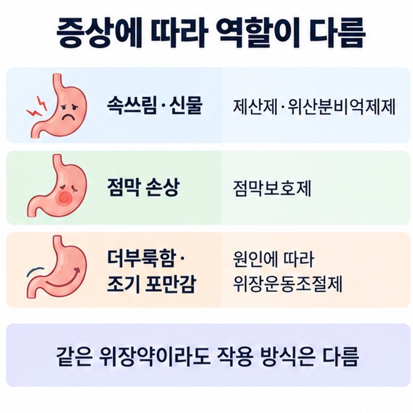 속쓰림 위산 역류 점막 손상 더부룩함에 따라 사용되는 위장약 종류를 정리한 인포그래픽