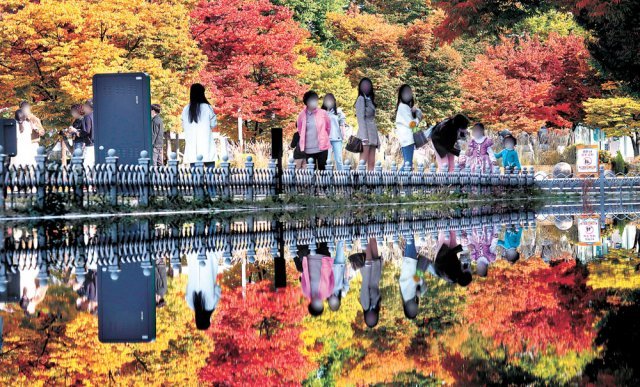 서울 가을단풍 명소 베스트 가을여행 추천