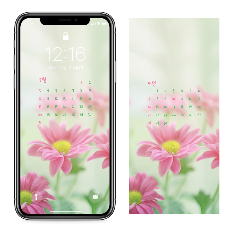 05 분홍색 꽃 AB - 2024년3월 아이폰달력배경화면