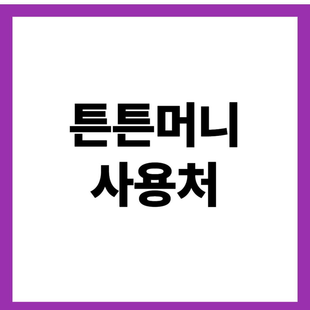 튼튼머니 사용처