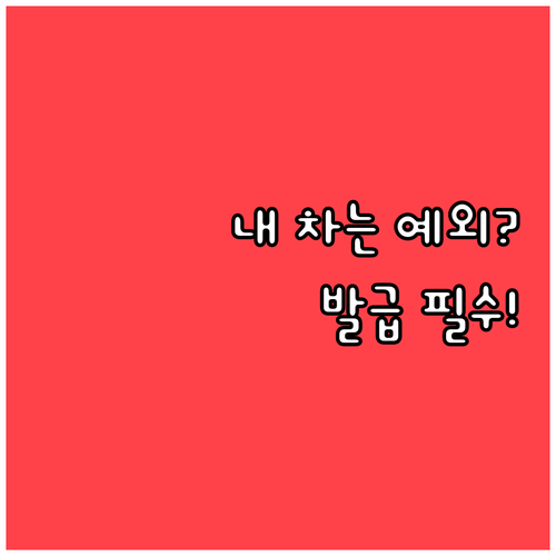 차량 5부제 적용 제외 차량 및 저공..