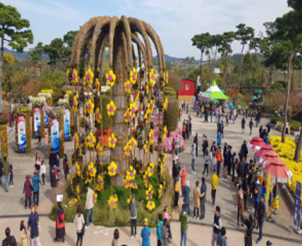 국화꽃 장식&amp;#44; 노란국화