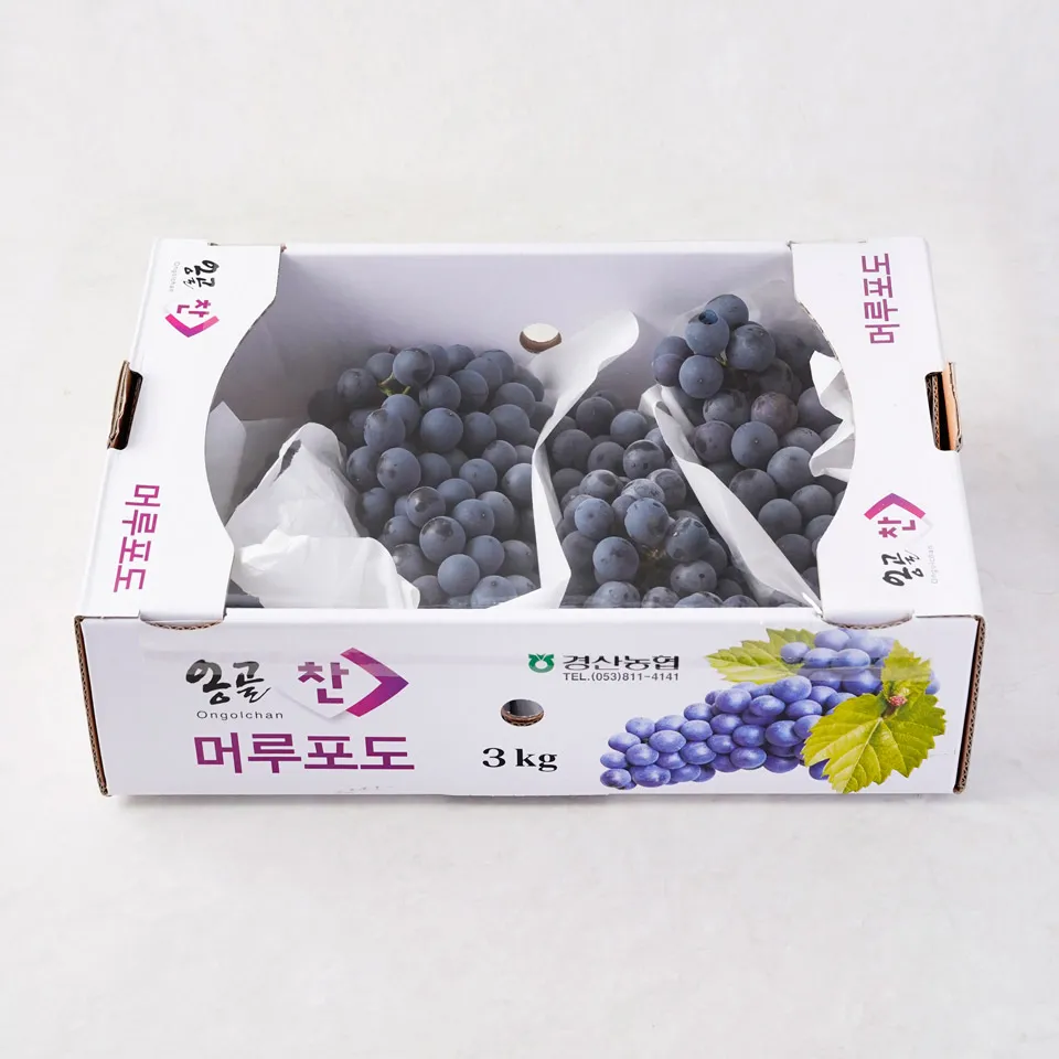 머루포도 효능키우기제철머루포도주 담그기먹는 방법보관 방법 안내_5